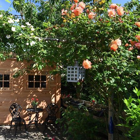 Wadden Eiland Bed En Breakfast Op Texel Oudeschild Екстериор снимка